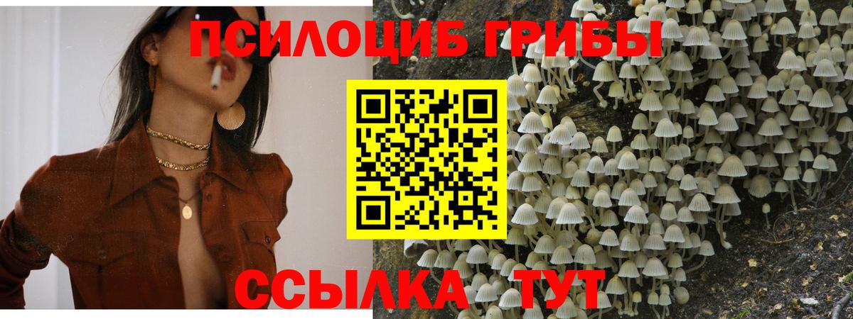 Галлюциногенные грибы ЛСД Тула